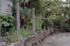 TRSTENO > Arboretum