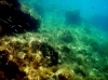 Karlobag 2012 Unterwasser 40