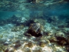 Karlobag 2012 Unterwasser 37