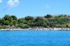 Dalmatien: KORNATEN > Insel Levrnaka > Uvala Lojena